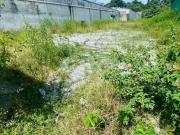 Terreno / Lote para Venda em Belo Horizonte/MG Castelo