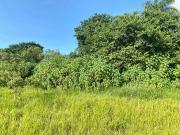 Terreno / Lote para Venda em Belo Horizonte/MG Enseada...