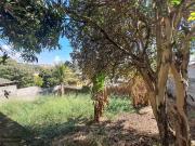 Terreno / Lote para Venda em Belo Horizonte/MG Ermelinda