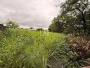 Terreno / Lote para Venda em Belo Horizonte/MG Garças