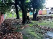 Terreno / Lote para Venda em Belo Horizonte/MG Glória