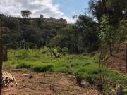 Terreno / Lote para Venda em Belo Horizonte/MG Granja de...