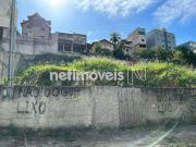 Terreno / Lote para Venda em Belo Horizonte/MG Havaí