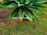 Terreno / Lote para Venda em Belo Horizonte/MG Copacabana