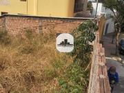 Terreno / Lote para Venda em Belo Horizonte/MG Jardim...