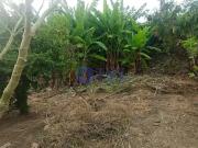 Terreno / Lote para Venda em Belo Horizonte/MG Mantiqueira