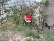 Terreno / Lote para Venda em Belo Horizonte/MG Ouro Preto Terreno / Lote para Venda em Belo Horizonte/MG Ouro Preto