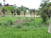 Terreno / Lote para Venda em Belo Horizonte/MG Palmeiras