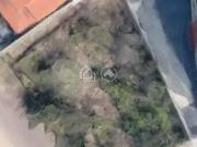 Terreno / Lote para Venda em Belo Horizonte/MG Palmeiras