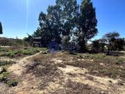 Terreno / Lote para Venda em Belo Horizonte/MG Pampulha