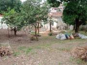 Terreno / Lote para Venda em Belo Horizonte/MG Planalto