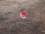 Terreno / Lote para Venda em Belo Horizonte/MG São Luiz Terreno / Lote para Venda em Belo Horizonte/MG São Luiz