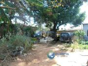 Terreno / Lote para Venda em Belo Horizonte/MG Santa Branca