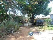 Terreno / Lote para Venda em Belo Horizonte/MG Santa Branca