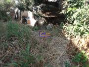 Terreno / Lote para Venda em Belo Horizonte/MG Santa Mônica