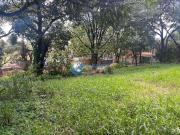 Terreno / Lote para Venda em Belo Horizonte/MG Trevo