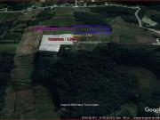 Terreno / Lote para Venda em Bento Gonçalves/RS Barracão