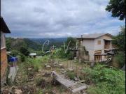 Terreno / Lote para Venda em Bento Gonçalves/RS Fenavinho