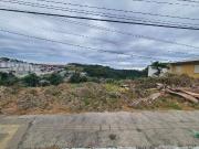 Terreno / Lote para Venda em Bento Gonçalves/RS São Roque