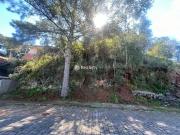 Terreno / Lote para Venda em Bento Gonçalves/RS São Roque