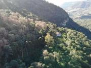 Terreno / Lote para Venda em Bento Gonçalves/RS São Roque