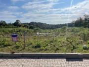 Terreno / Lote para Venda em Bento Gonçalves/RS São Roque