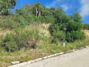 Terreno / Lote para Venda em Bento Gonçalves/RS São Roque