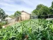 Terreno / Lote para Venda em Bento Gonçalves/RS Santa Helena