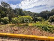 Terreno / Lote para Venda em Bento Gonçalves/RS Santa Marta