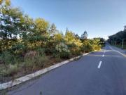 Terreno / Lote para Venda em Bento Gonçalves/RS Santo Antão