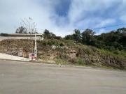 Terreno / Lote para Venda em Bento Gonçalves/RS Santo Antão