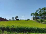 Terreno / Lote para Venda em Bento Gonçalves/RS Vale dos...