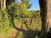 Terreno / Lote para Venda em Bento Gonçalves/RS Vale dos...