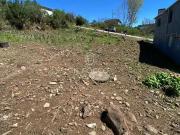 Terreno / Lote para Venda em Bento Gonçalves/RS Vila Nova