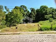 Terreno / Lote para Venda em Bento Gonçalves/RS Vinhedos