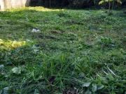 Terreno / Lote para Venda em Bertioga/SP Condomínio...