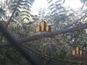 Terreno / Lote para Venda em Betim/MG Chácaras