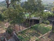 Terreno / Lote para Venda em Betim/MG Pimentas 2 Quartos