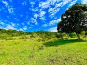 Terreno / Lote para Venda em Biguaçu/SC Jardim Janaina