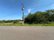 Terreno / Lote para Venda em Biguaçu/SC Mar das Pedras