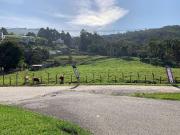Terreno / Lote para Venda em Biguaçu/SC São Miguel...