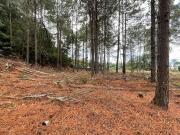 Terreno / Lote para Venda em Biguaçu/SC São Miguel...