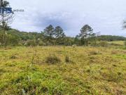 Terreno / Lote para Venda em Blumenau/SC Fidélis