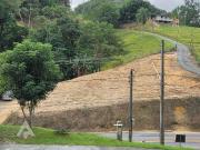 Terreno / Lote para Venda em Blumenau/SC Fortaleza Alta