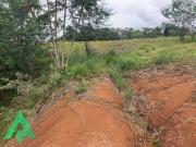Terreno / Lote para Venda em Blumenau/SC Ponta Aguda