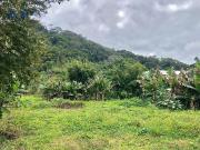 Terreno / Lote para Venda em Blumenau/SC Progresso