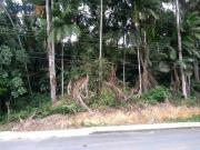 Terreno / Lote para Venda em Blumenau/SC Salto do Norte
