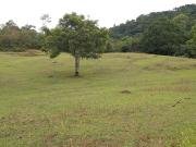 Terreno / Lote para Venda em Blumenau/SC Testo Salto 3...