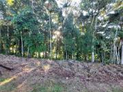 Terreno / Lote para Venda em Blumenau/SC Velha
