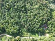 Terreno / Lote para Venda em Blumenau/SC Vila Itoupava